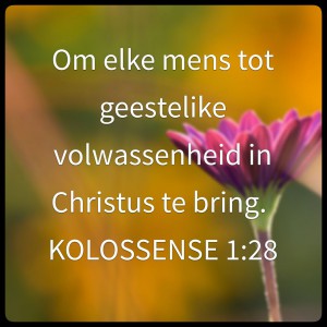 Gemeente Visie